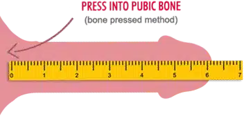 Gambar ilustrasi cara mengukur panjang ereksi